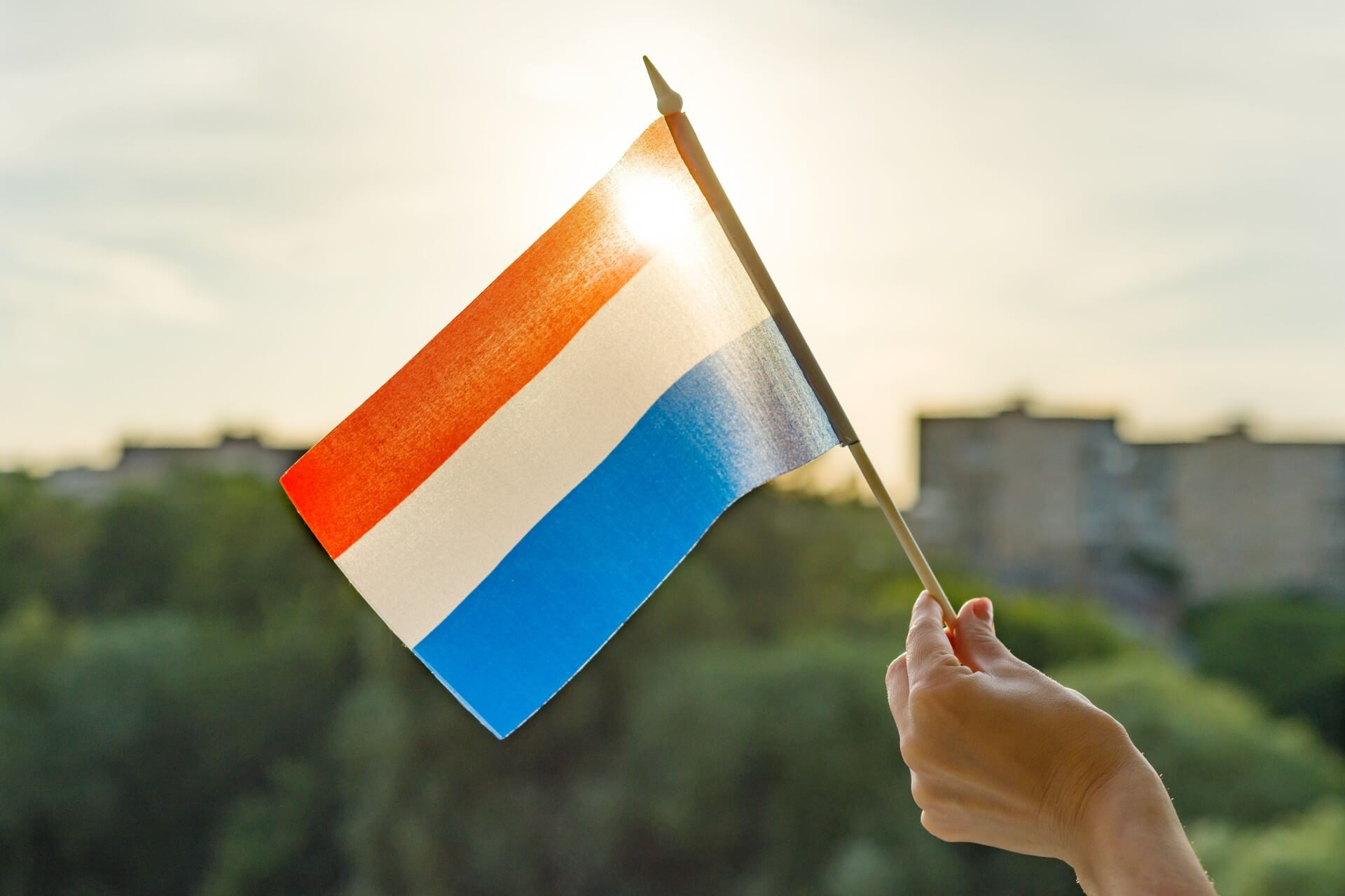 Benefits of Working Skilled Jobs in the Netherlands
